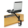 Computer Monitor Arms image